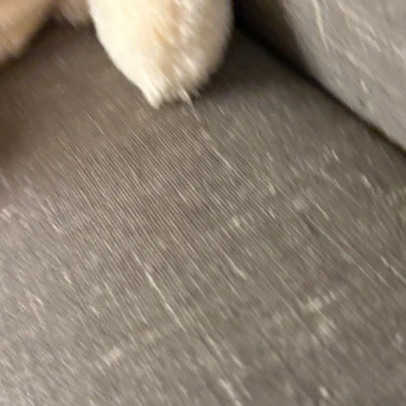 Jellycat Ursula Unicorn 16” - Picture 3 of 8